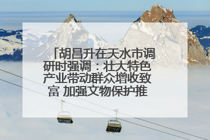 胡昌升在天水市调研时强调：壮大特色产业带动群众增收致富 加强文物保护推动文化创新发展
